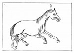 035 Po