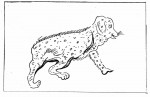 036 Chu-chien