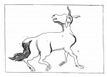 052 Tung-tung