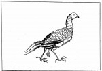 087 Ch'ui-ju