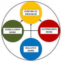 Structure of Human Psyche